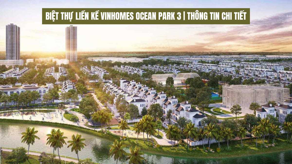 Tìm hiểu biệt thự liền kề Vinhomes Ocean Park 3