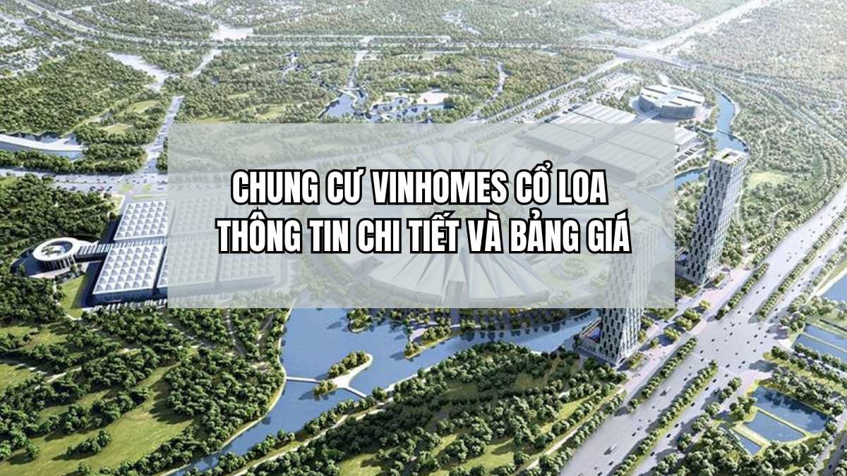 Tìm hiểu chi tie