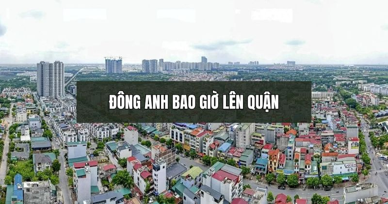 Giải đáp câu hỏi Đông Anh bao