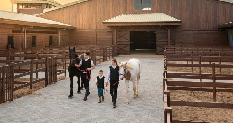 Học viện cưỡi ngựa Vinpearl Horse Academy