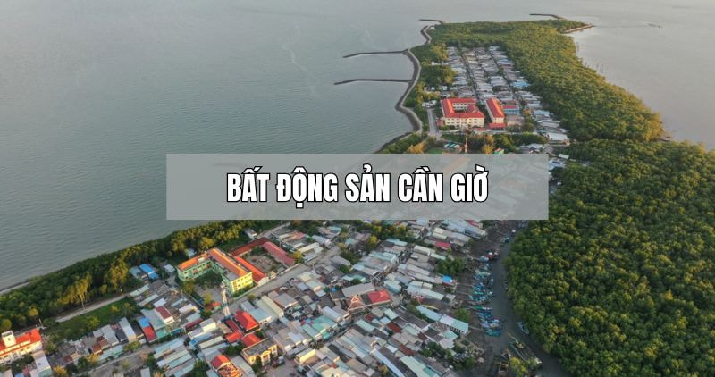 Tìm hiểu về bất động sản Cần Giờ